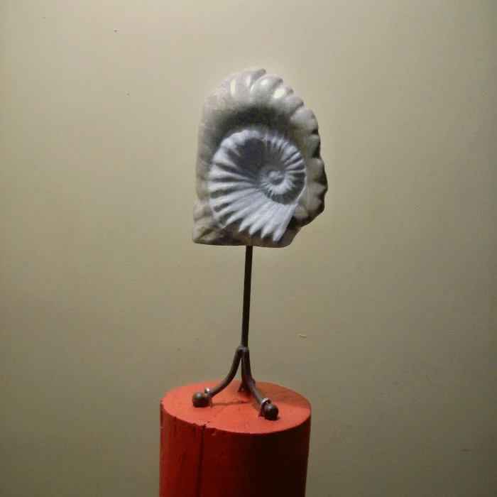 AMONITE escultura marmol 2008